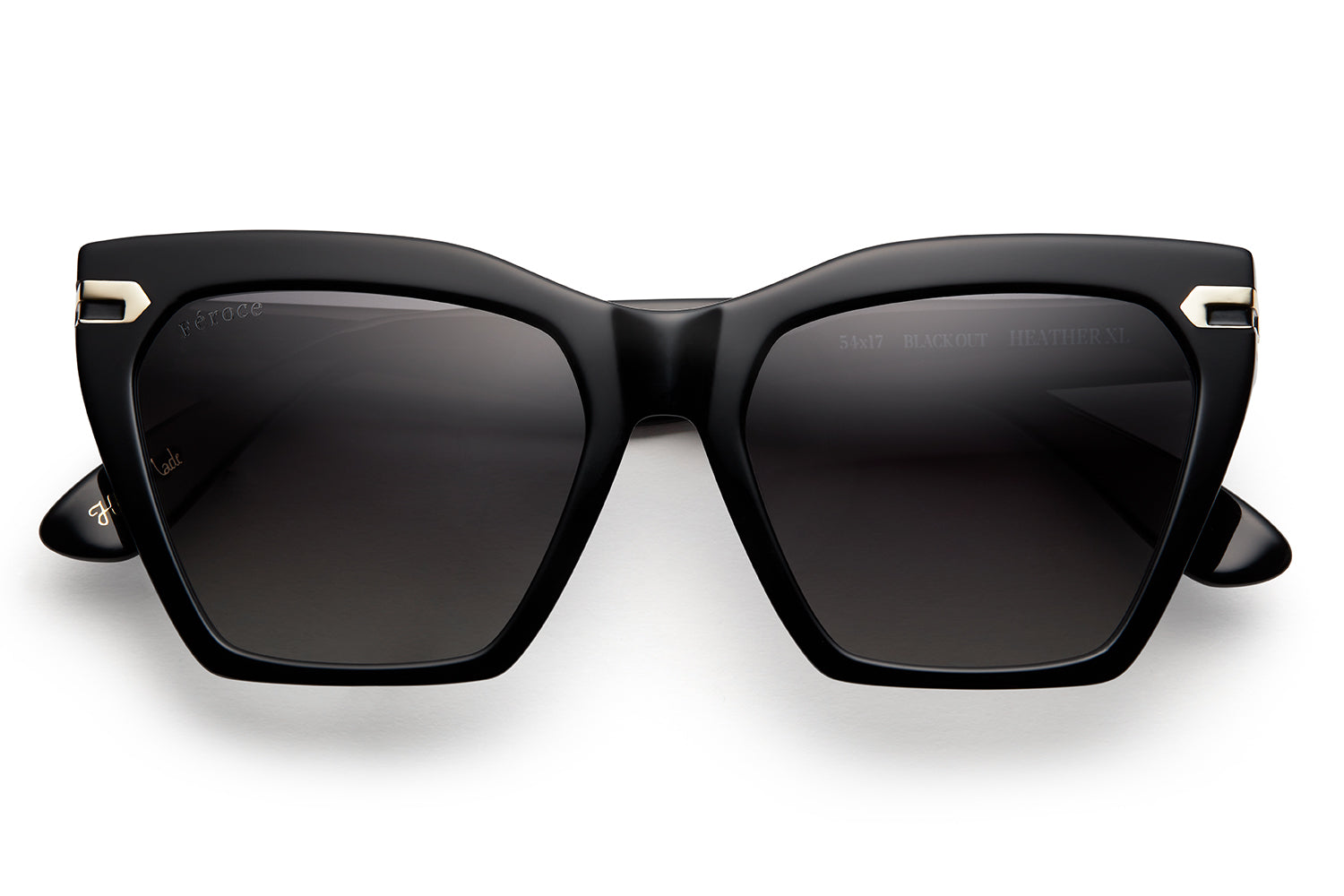 Blackout acetate sunglasses with dark grey/black gradient lenses and gold tone hardware